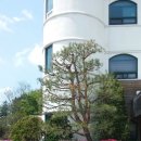 화현요양병원 이미지