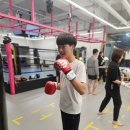 동탄킥복싱/동탄무에타이/동탄복싱/동탄MMA/동탄투혼/동탄종합격투기/오스타짐/5-STAR GYM/열정 이번주 콤비네이션 이미지