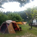 로뎀나무 아래 이미지