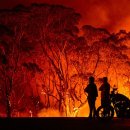 유엔아이여행사 이미지