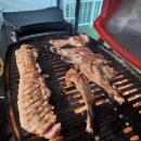 여수 댕댕이 애견 가족펜션 골드 이미지