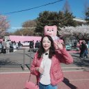 [샤넬 클래식 vs루이비통 카퓌신 vs레이디올 착용샷,후기 ]/[12개 백 실착용 후기 ]/[처분한 샤넬은?]