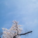 수원-0372 이미지