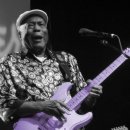 모티브델타 이미지