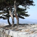 봄물결 한국일보