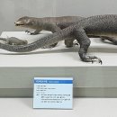 부산해양자연사박물관 이미지