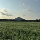 꽃길만걷차세화점