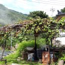 용부원2리 이미지