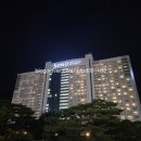 소노벨타워B비발디파크 이미지