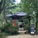 보라동옛날통닭 | 한국민속촌(심야후기)
