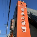 함초당&알로하피크닉 이미지