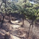 호랭이 어슬렁길 Daum카페