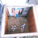 청계복지농장 이미지