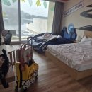 다이노워시 이미지