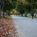 단풍세탁소 이미지