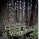 서울윈치과의원 이미지