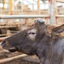 천리원체험농장 이미지