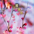 하늘사랑