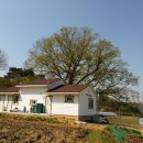 신방2리마을회관 이미지