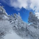 행운부동산중개사무소 이미지