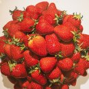 부안여행:)곰소물회, 곰소시장, 변산면 마실길4코스, 바람섬카페, 휘목미술관