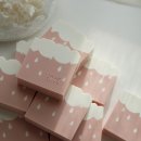 레인드롭