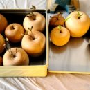 최평락한의원 이미지