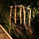 소치농장 이미지