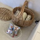 구공스테이 안동 이미지