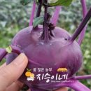 지승농장 이미지