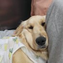 천지가축약품 이미지