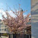 성서3차산업단지(호산로) 이미지