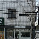 러브시티독