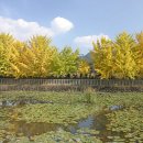 이반성초등학교 이미지