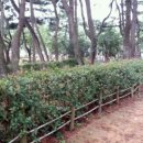 자산솔밭공원 이미지