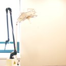 이희문성형외과의원 이미지