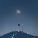 하늘달팽이 이미지
