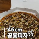 산호대로-24 이미지