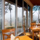 테디벨리 이미지