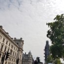 고덕365약국 이미지