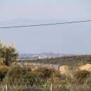 김동호 농장 이미지