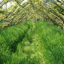 소망농장 이미지