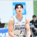 피버스