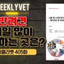 서울동물병원 이미지