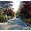 시루봉카센터 이미지