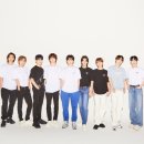 테디아일랜드 - 서초구 강남대로51길 10 | 테디아일랜드