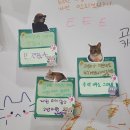 중앙가축병원 | 냥냥이 학술대회 반려가족 강연 / 나응식 수의사 &#39;고양이와 우리 사이엔 오해가 있다&#39; / 국립중앙과학관