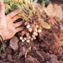 미래수퍼 이미지