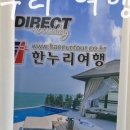 엔돌핀여행사