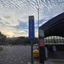 서울대공원 | 서울대공원 러닝 후기